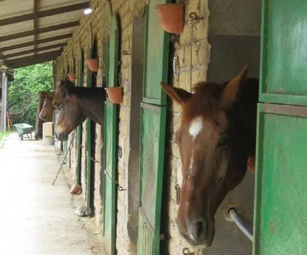 La Fattoria La Cacciata Фермерский дом *