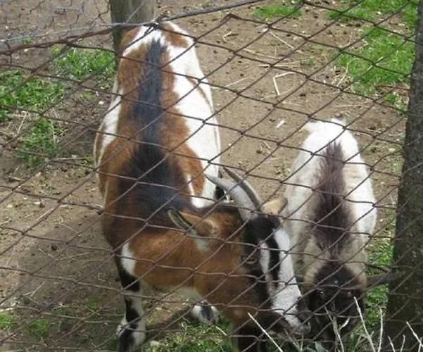 La Fattoria La Cacciata * Орвието